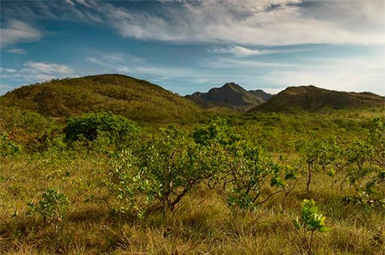 Legado Verdes do Cerrado completa seis anos