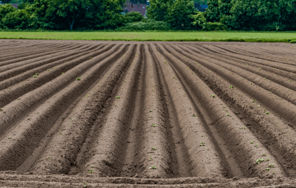 Nexa e Finep fecham parceria de R$ 4 milhões