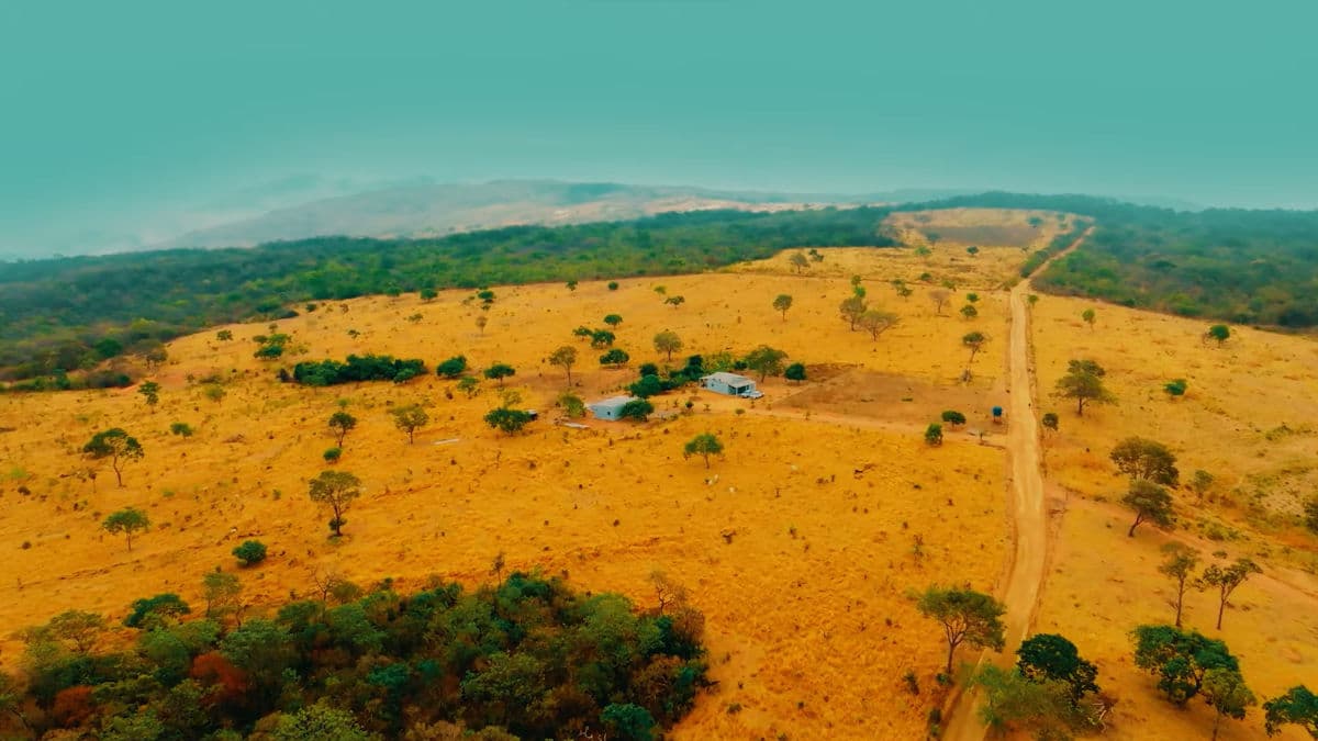 Aclara Resources descobre novo depósito em Goiás, e investimento será de 2 bilhões