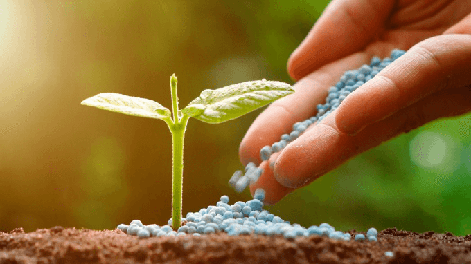 Entregas no mercado brasileiro crescem 6,2% até julho 