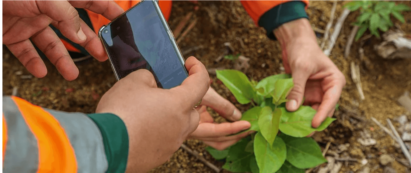 Hydro Paragominas inova com auxílio de IA e drones