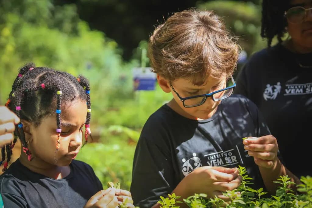 Gerdau Germinar vai premiar projetos ambientais em MG