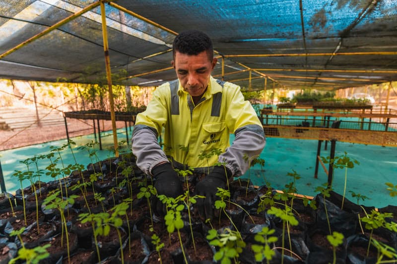 Galvani Fertilizantes planeja gerar 44 mil t/ano de biomassa até 2029