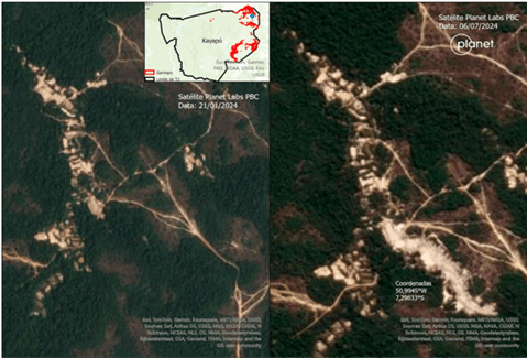 Greenpeace Brasil alerta sobre atividade em TI da Amazônia