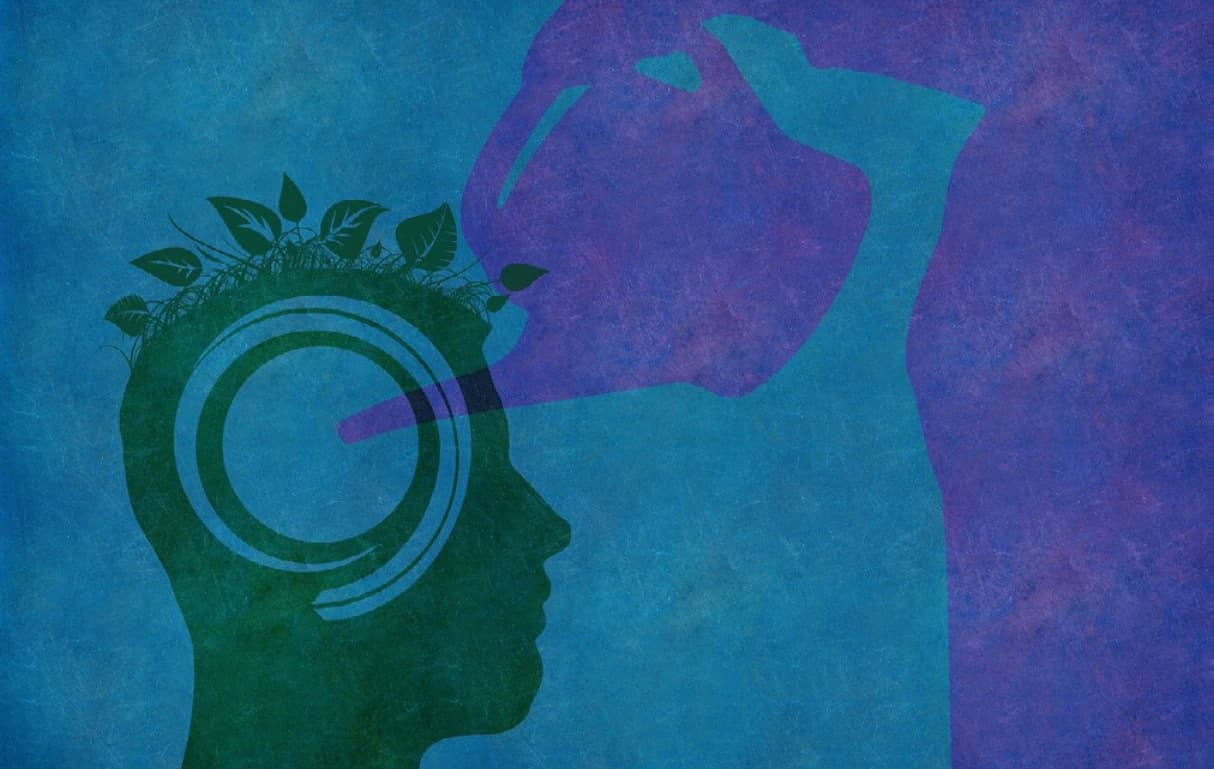 Inovação e a Sustentabilidade na Mineração Brasileira