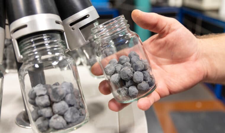 Produção mundial atinge 140 milhões de toneladas em 2024