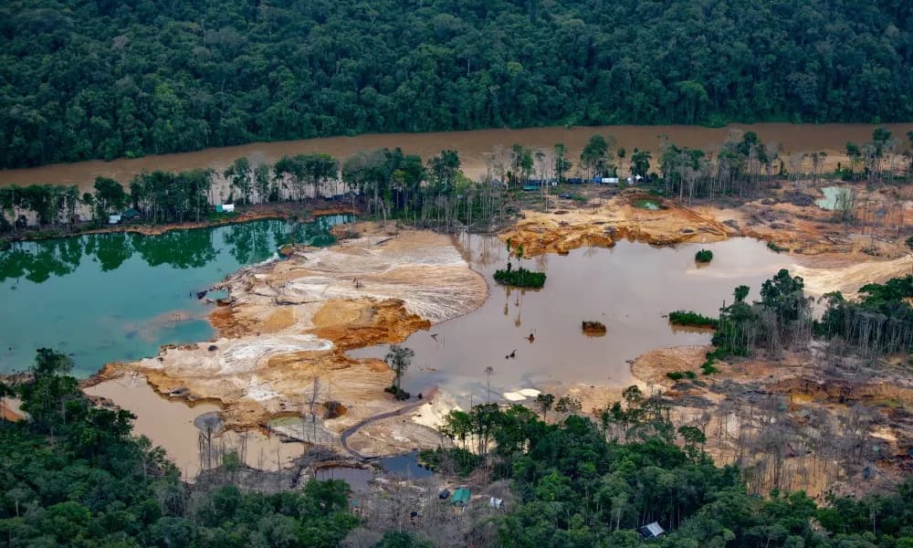 Extração ilegal em territórios cresceu quase 45% no trimestre