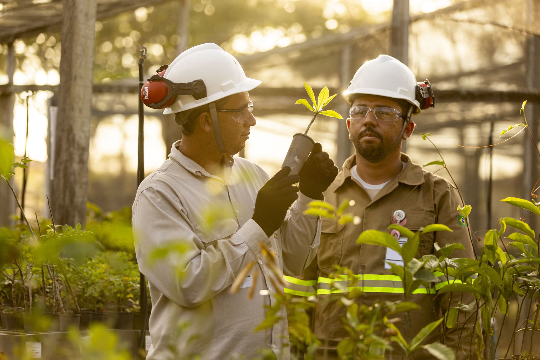 Appian Capital preserva 450 hectares da Caatinga em Alagoas