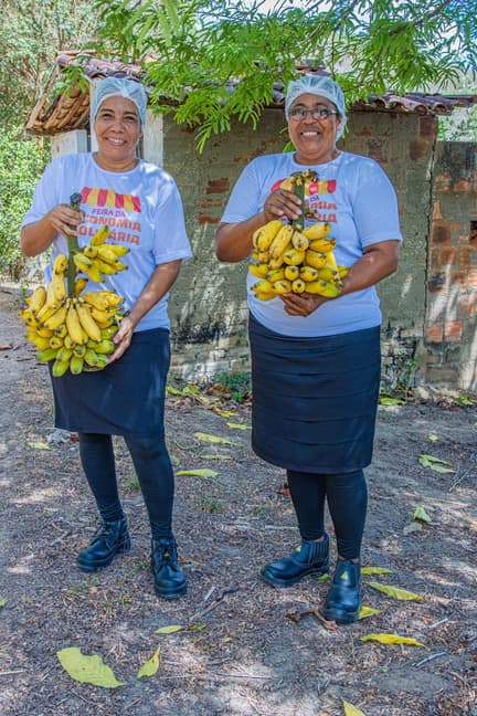 Atlantic Nickel desenvolve Projeto Banana, no sul da Bahia