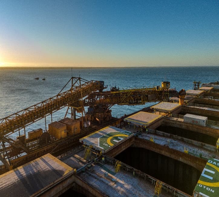 Ferroport planta 2,5 milhões de mudas em 2024