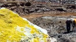 Seminário da OAB-DF discute flexibilização do monopólio