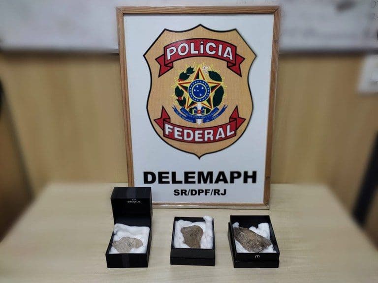 PF combate garimpo em Goiás e prende empresário