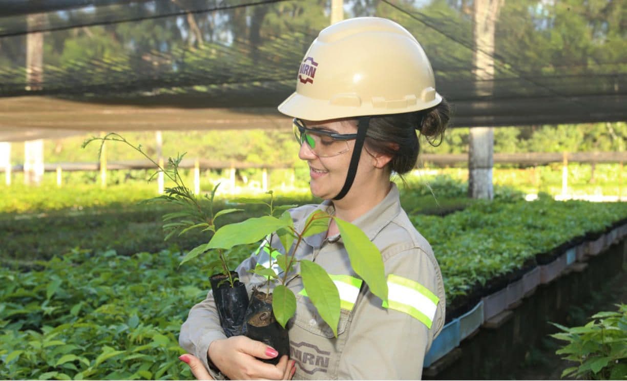 Para empresas, a mineração ajuda a manter a floresta de pé