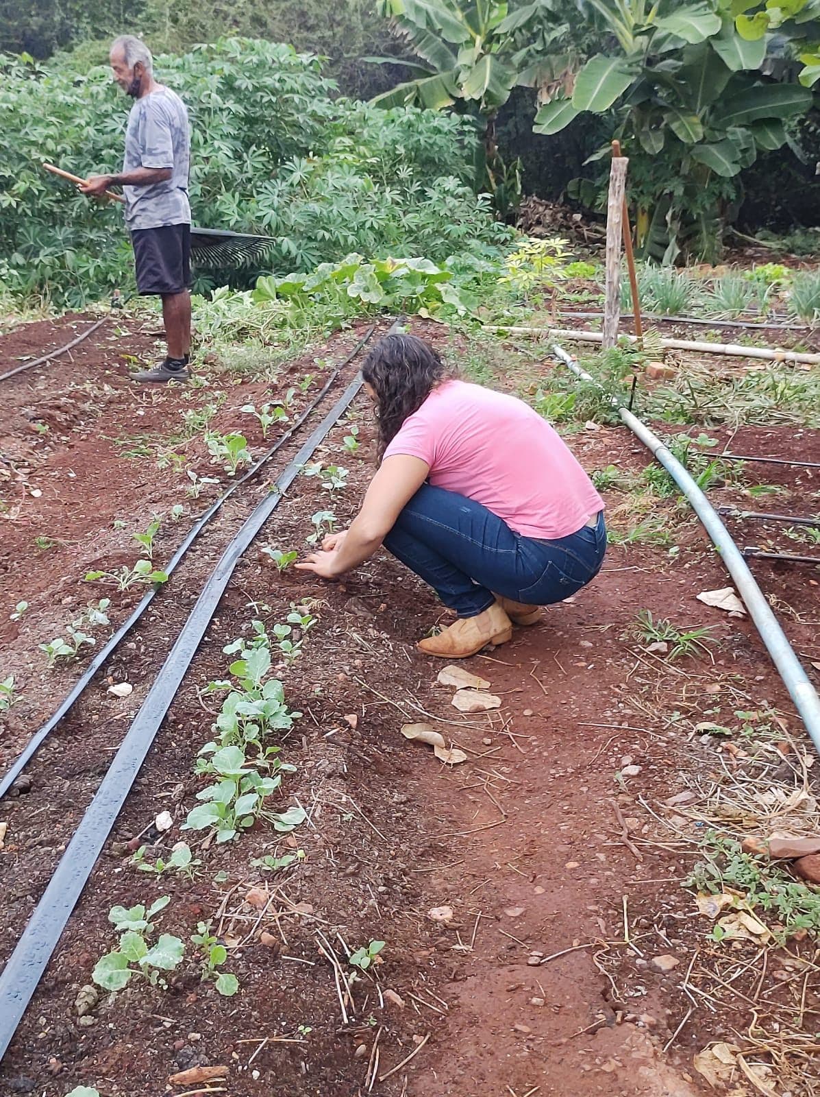 RHI Magnesita entra no TOP 100 Open Corps 2022