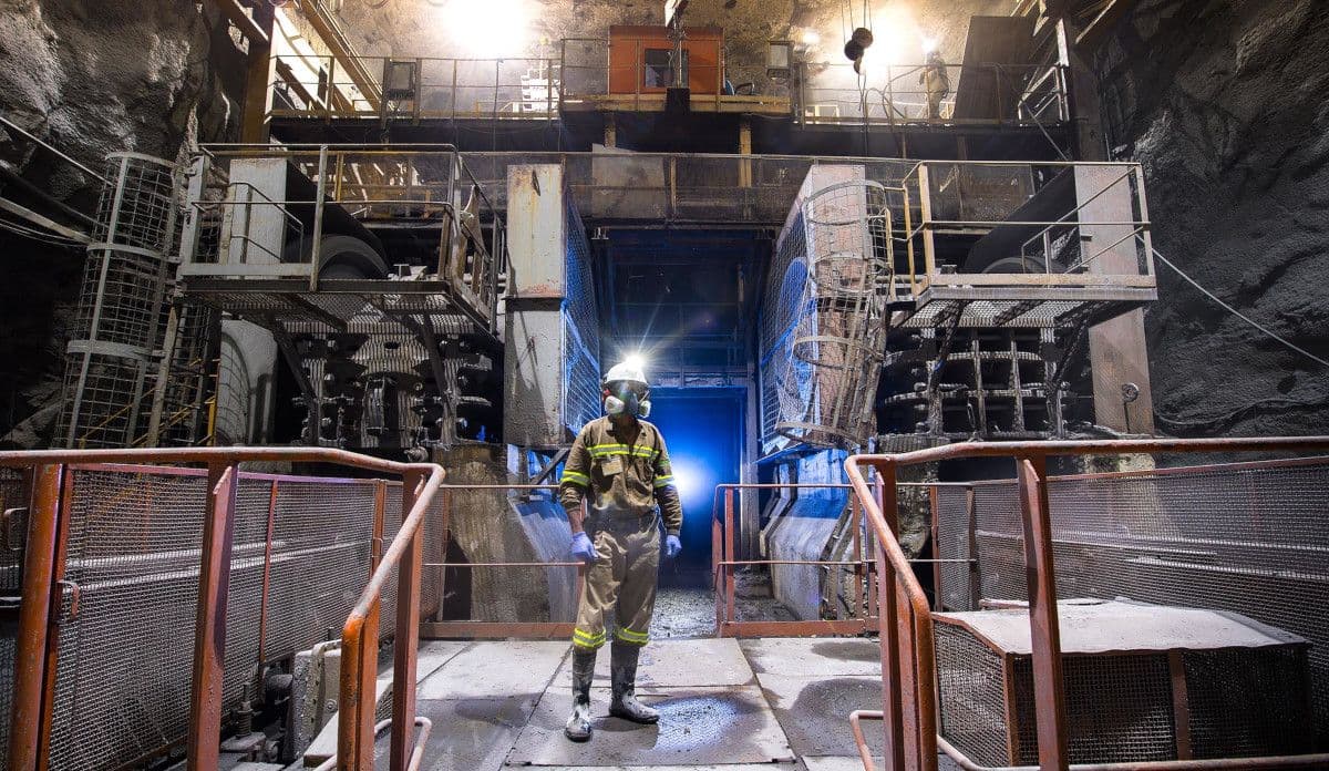 Líderes em valorização no Canadá estão no Brasil