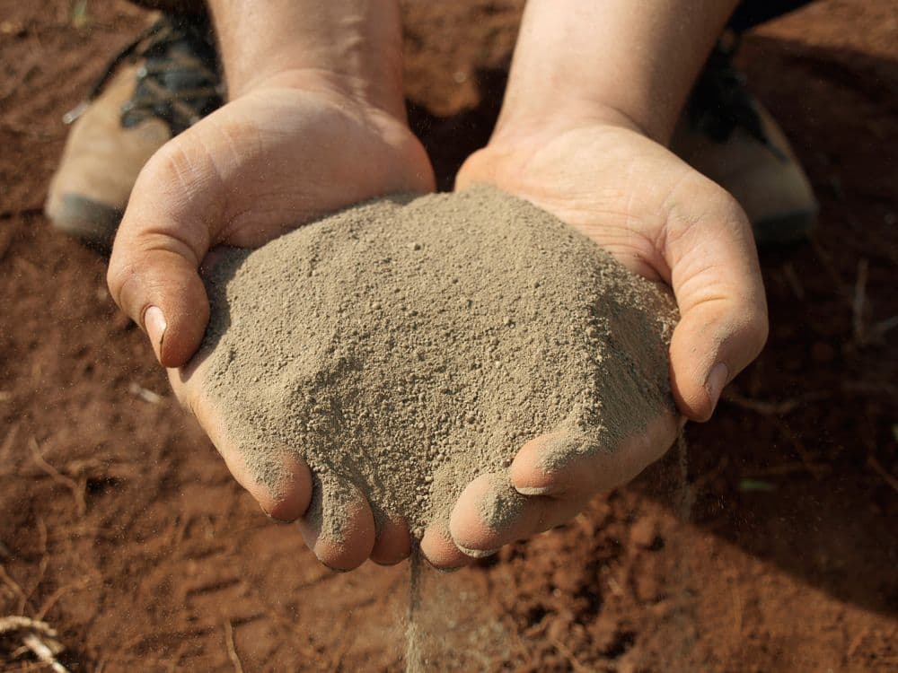 BDMG lança linha de crédito de até R$ 20 milhões