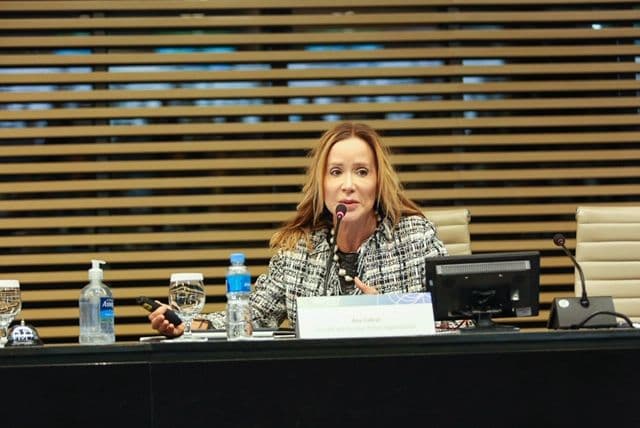 “O Brasil entra no mercado pelo tapete vermelho”