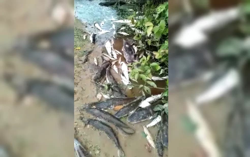 Município acusa Maracá de contaminação