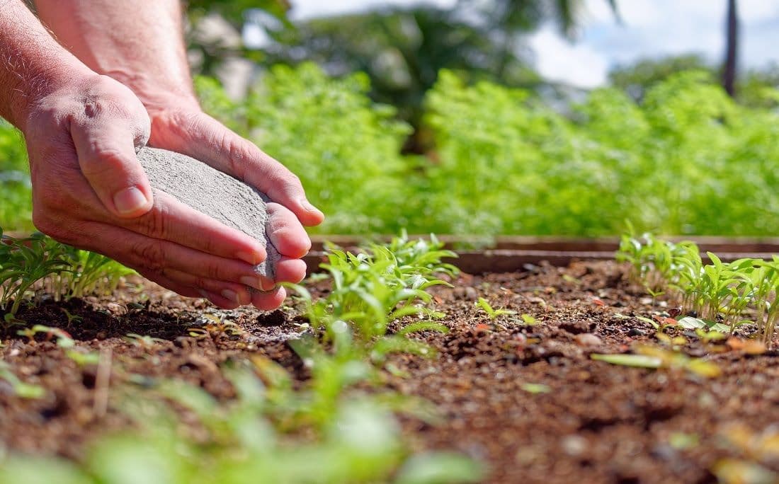 Acordo para programa de remineralizadores