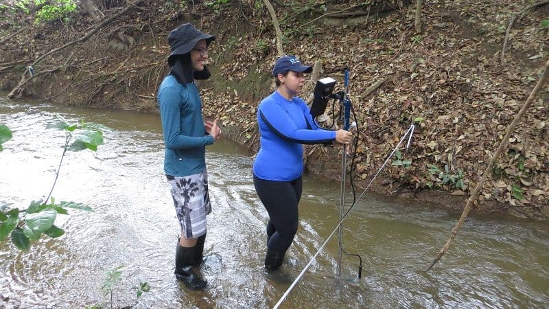 Participação feminina cresce cada vez mais