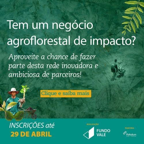 Fundo Vale quer mapear projetos agroflorestais