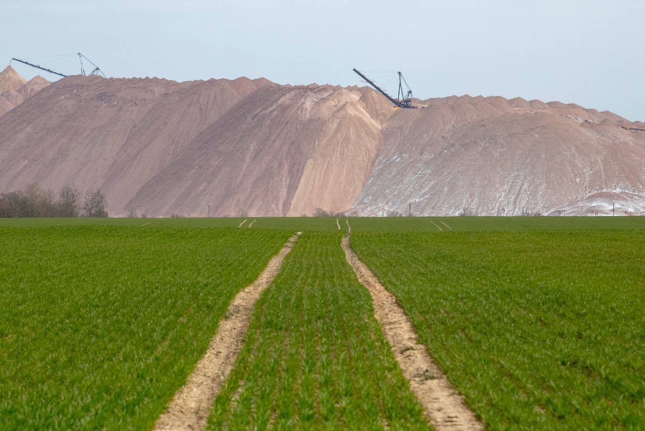 Suspensas exportações para o mercado brasileiro
