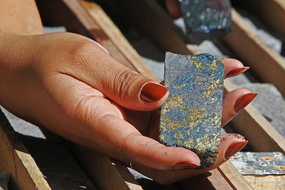 Diversidade ajuda desempenho da Bahia em 2021