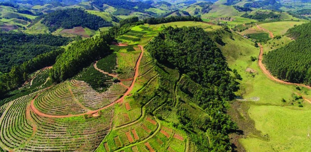 CBA entre as principais no rating do CDP