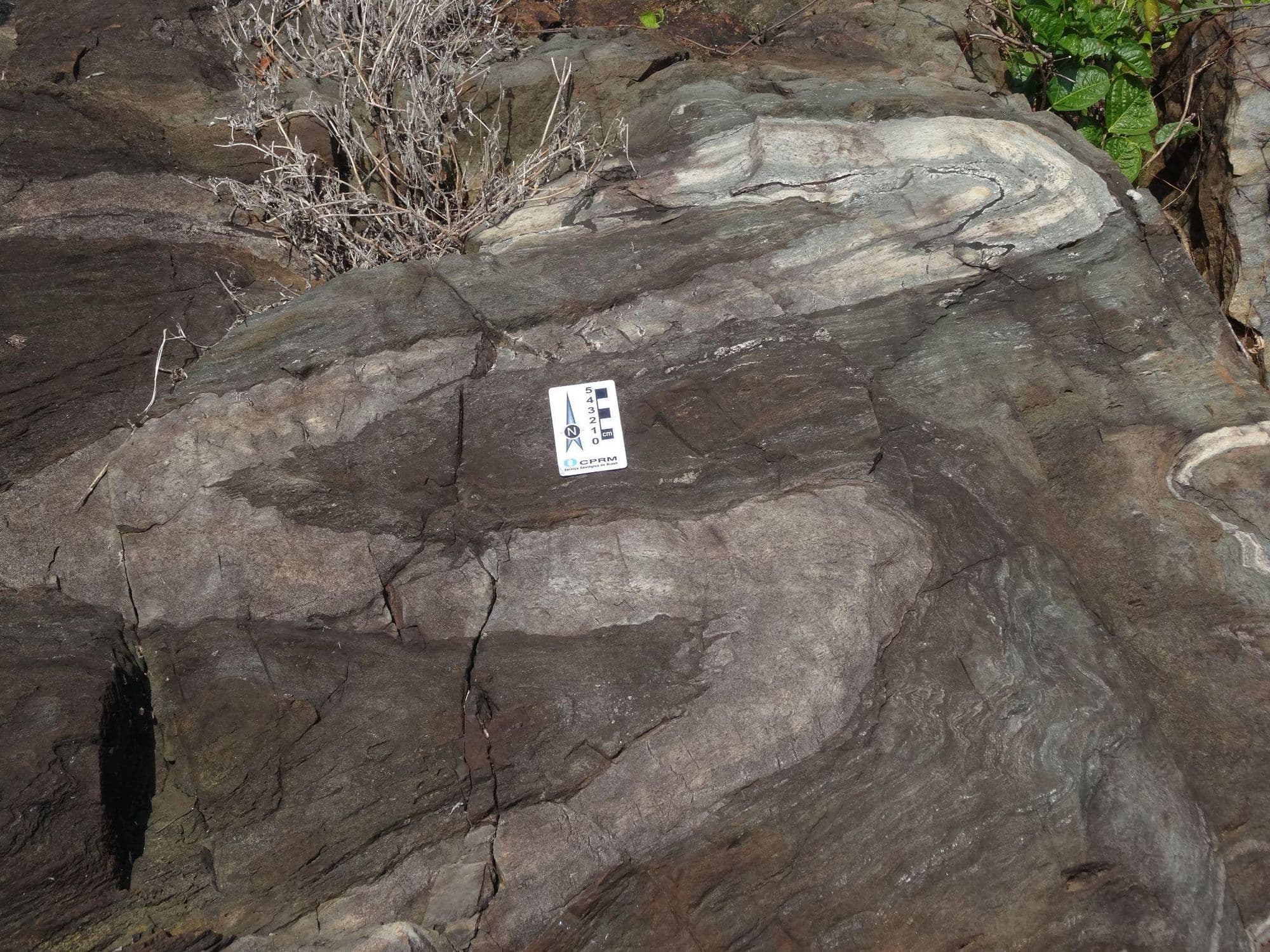 SGB-CPRM disponibiliza dados do projeto Rio Maria