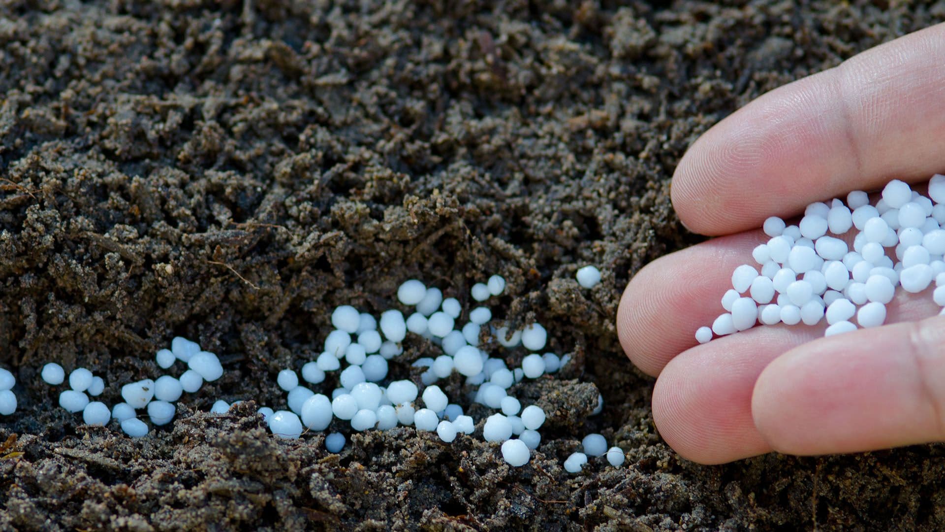 8° Congresso Brasileiro acontece em novembro