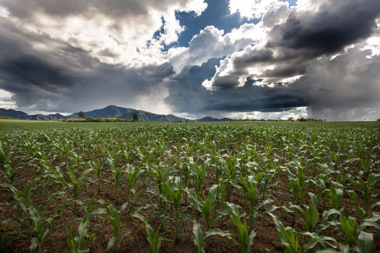 CBA lança edital do Projeto Reflora