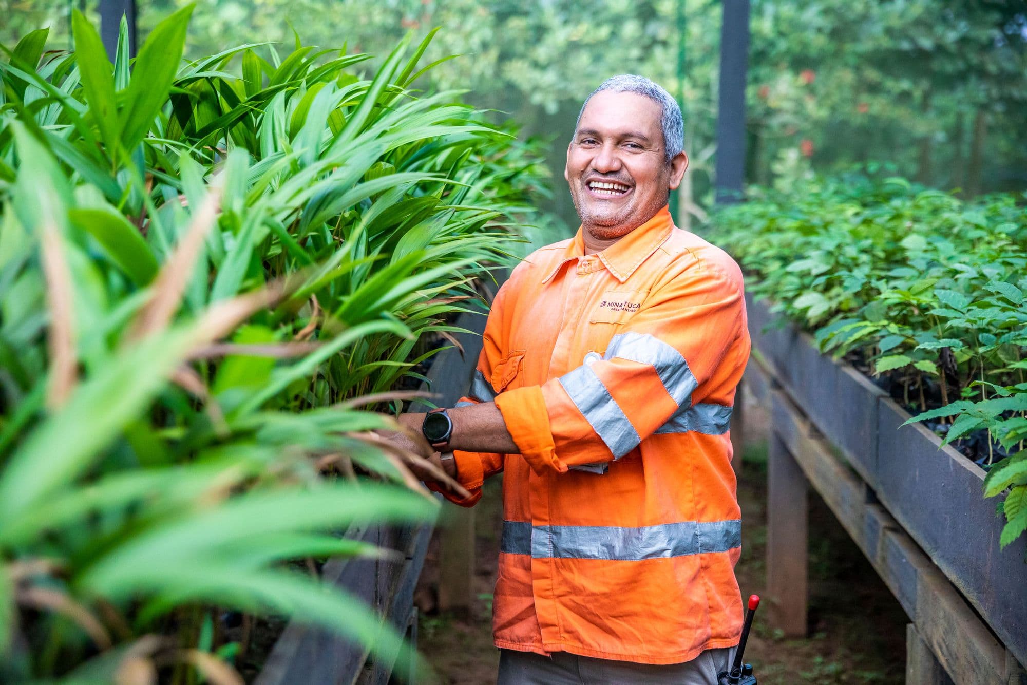 Adoção de selo sustentável no Amapá