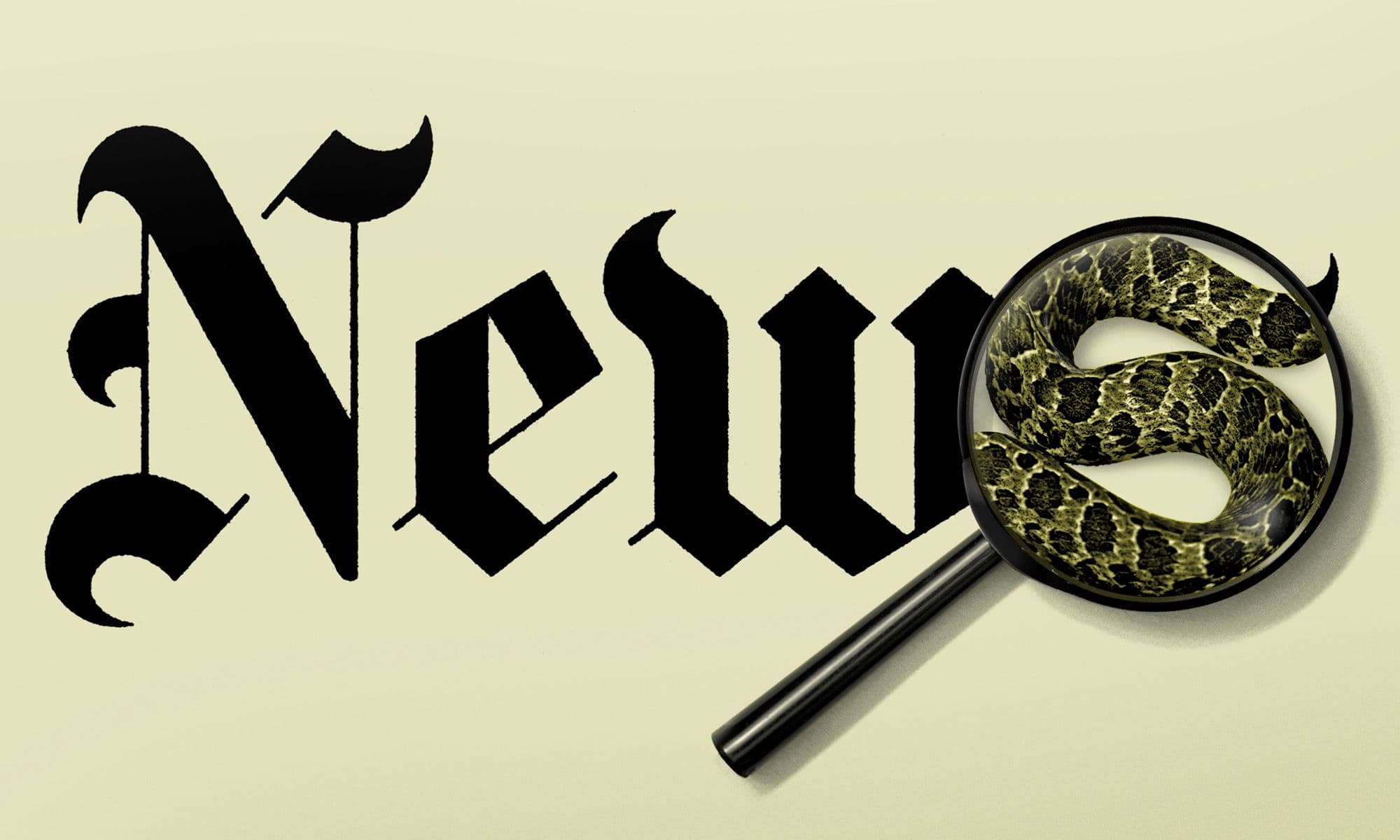 Redes sociais, fake news e democracia