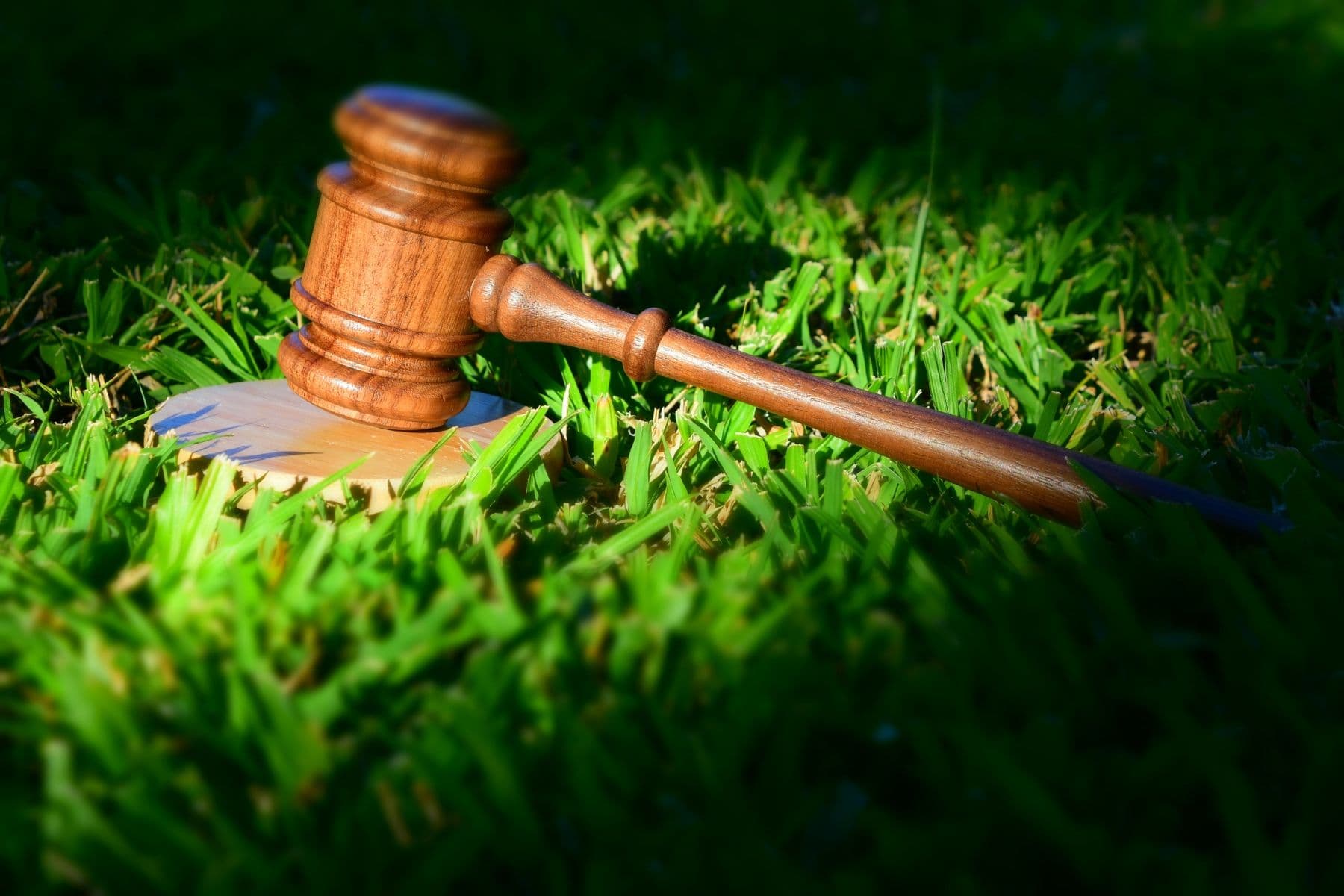 UE impõe regras para importações de commodities