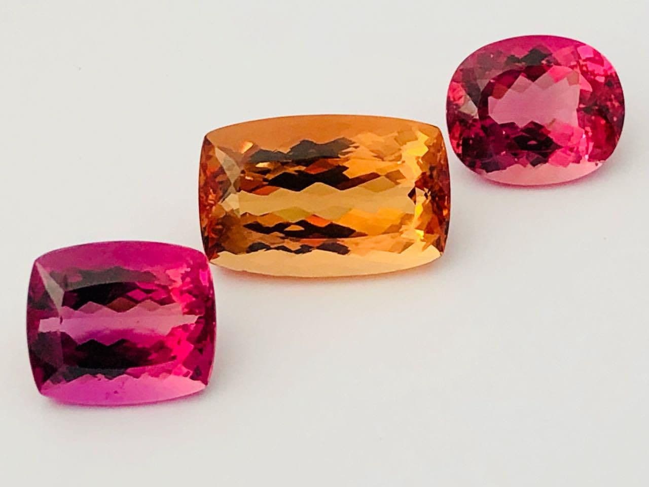 Exportações somaram US$ 290 milhões em 2024