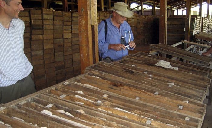 Brazilian Nickel assina acordo para fornecer até 10 mil t/a para a Westwin